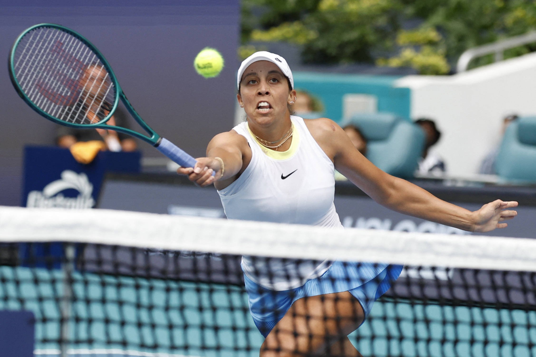 博格丹的发 博格丹的发