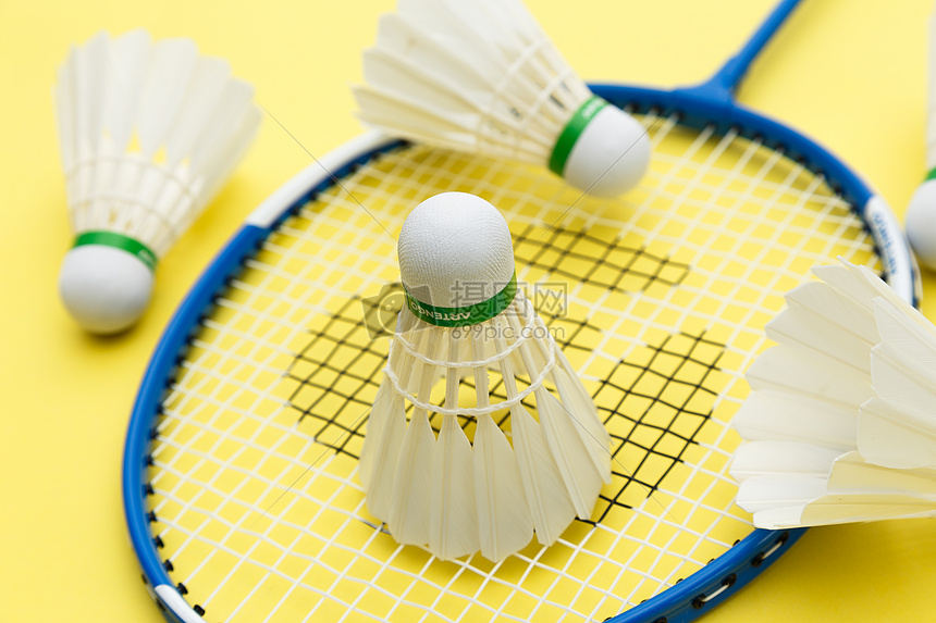 相结合的 相结合的